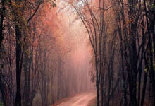 大发娱乐官网：队长来了！38岁阎相闯替补登场，上演赛季&重返中超首秀！.