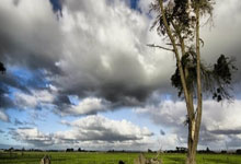 转播平台显示，国足客战沙特9元付费直播，日韩等场次同样付费.