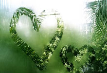 时隔年，意大利上次主场输给德国还是年.